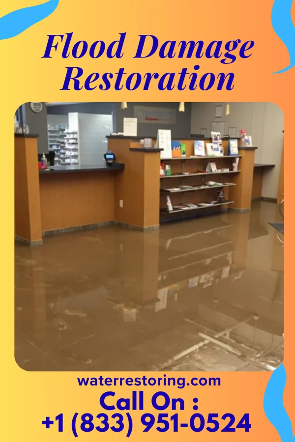 Flood Damage Restoration in Pilot Point, TX
