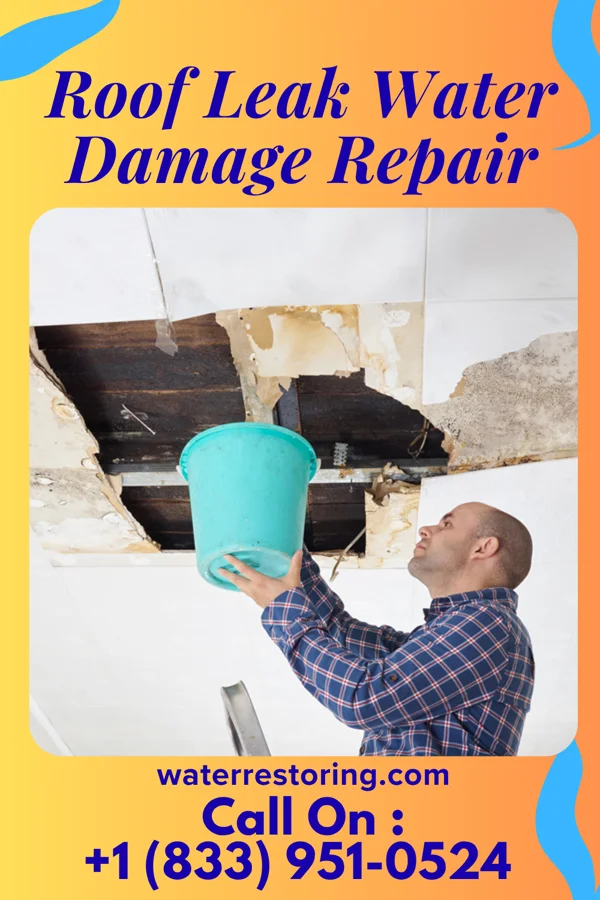 Roof Leak Water Damage Repair in Pilot Point, TX